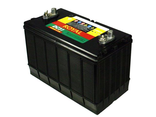 BATT 12V100 RYL - Batteries -