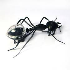 EDU-TOY BMT SOLAR POWERED ANT - Educational Kits -