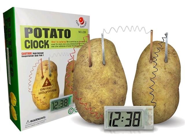 EDU - TOY POTATO CLOCK - Educational Kits -