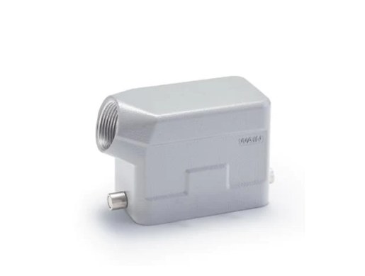 W10B-SE-2B-M20 - Hood Side Entry Metal w/2 Pegs For "10B" Ser. M20 IP67