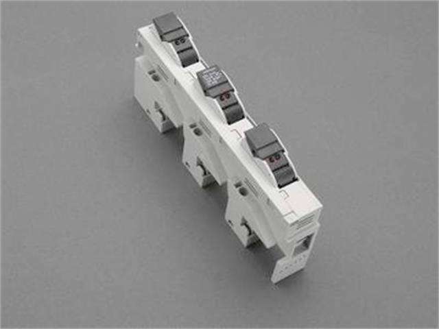 31955 - Fuses -