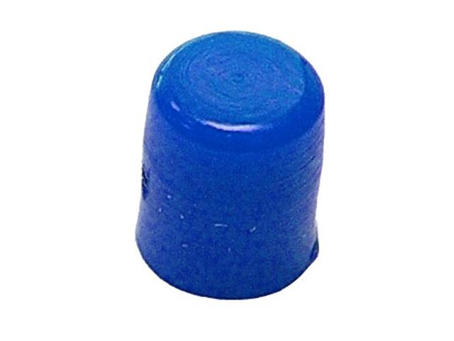 CV BLUE