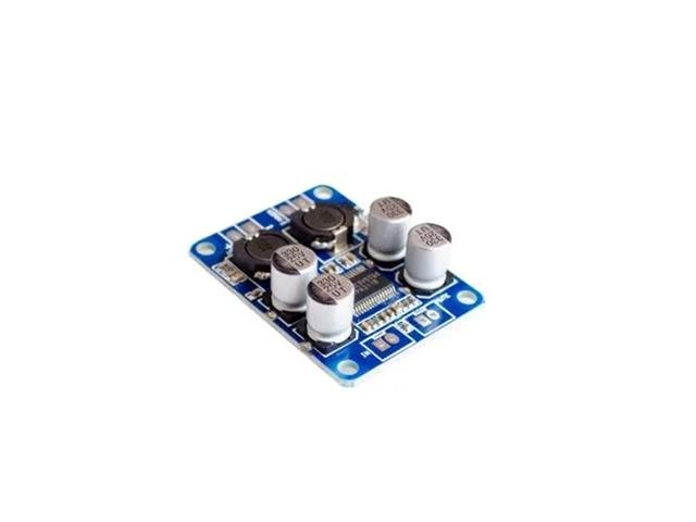 BMT AUDIO AMP MONO 60W TPA3118 - Audio / Amplifiers ect - HKD AUDIO AMP MONO 60W TPA3118