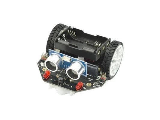 DFR MICRO:MAQUEEN LITE EDU ROBOT - Robot Kit - 
