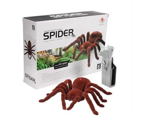 EDU-TOY BMT 2WD RC SPIDER - Educational Kits -