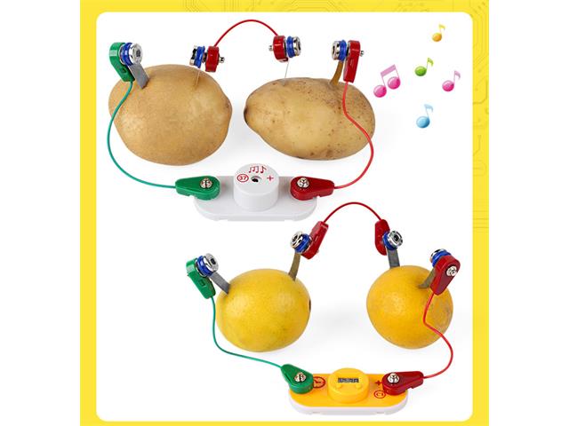 EDU-TOY FRUIT POWER TEST KIT - Educational Kits -
