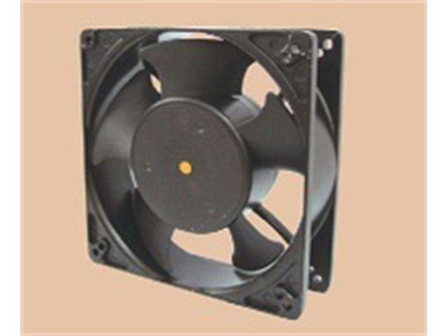 FANAC240127-38 - Fans -