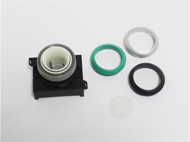 P301MGS - Switches -
