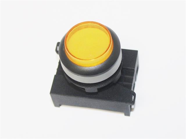 P302LY - Switches -