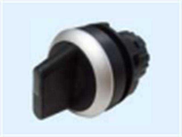 SI308M2V - Switches -