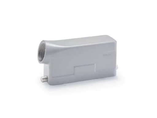 W24B-SE-2B-M25 - Hood Side Entry Metal w/2 Pegs For "24B" Ser. M25 IP67